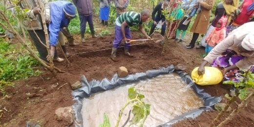 Digging Azolla Dam