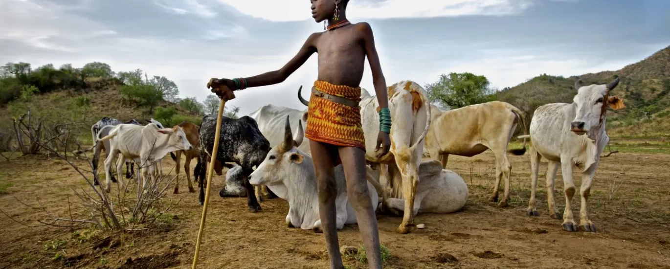 Wingfarm in Turkana County