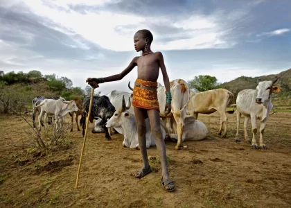 Wingfarm in Turkana County