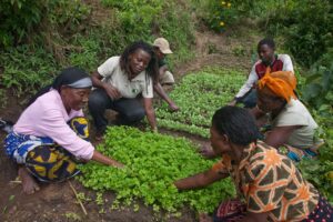 Working to improve food systems