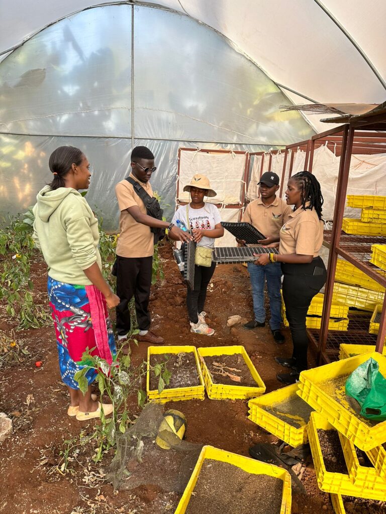 WingFarm members training farmers in Githunguri