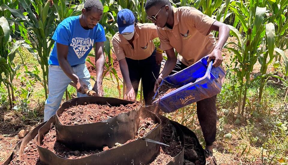 Organic Farming Training