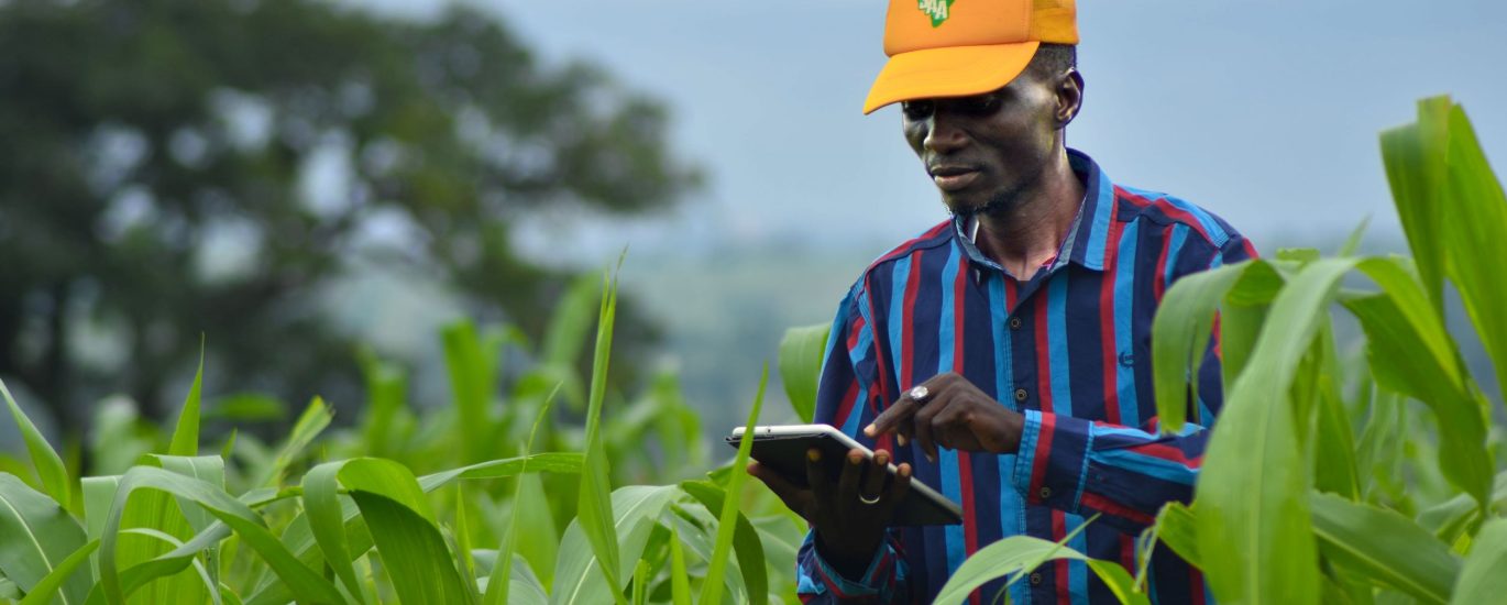 Transforming agriculture in Africa WingFarm