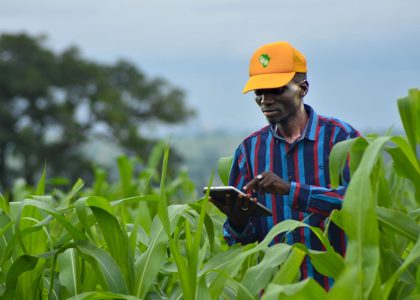 Transforming agriculture in Africa WingFarm