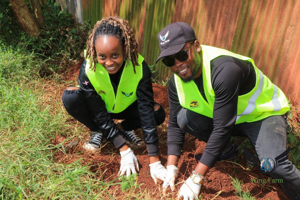 WingFarm Volunteers Planting a tree